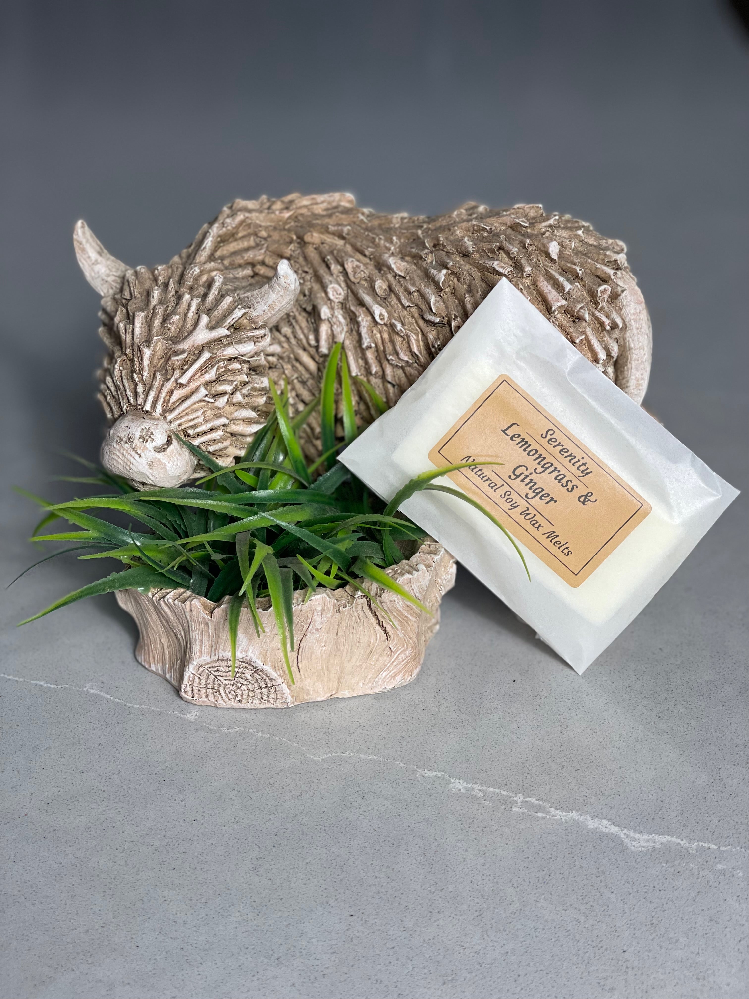 Mini Snap Wax Melt Bars